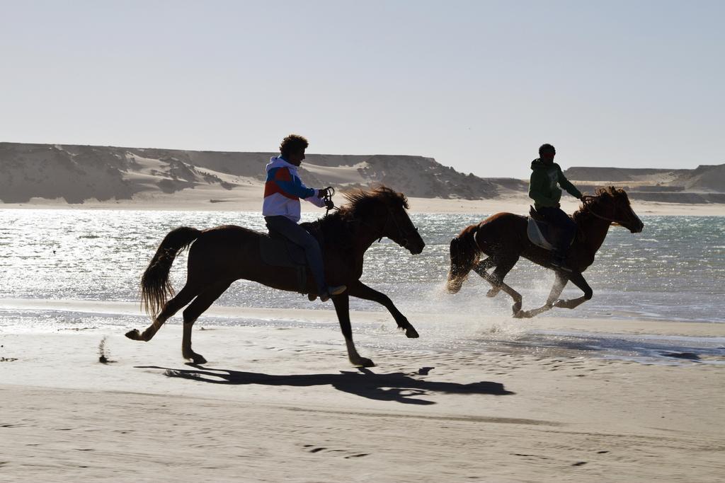 Hôtel Dakhla Evasion Extérieur photo